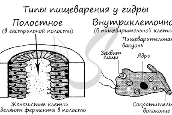 Кракен открылся